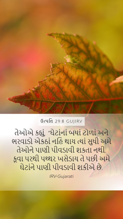 ઉત્પત્તિ 29:8 GUJIRV Bible Verse Image