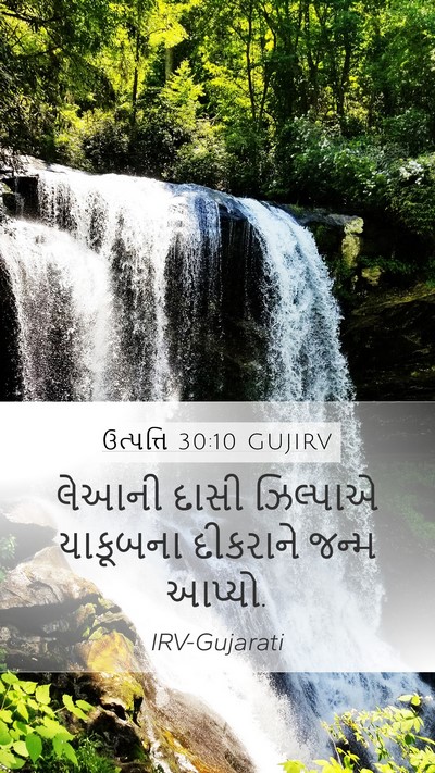 ઉત્પત્તિ 30:10 GUJIRV Mobile Phone Wallpaper - લેઆની દાસી - Mobile Bible Verse Wallpaper