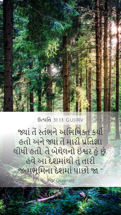 ઉત્પત્તિ 31:13 GUJIRV Bible Verse Image