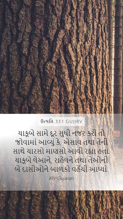ઉત્પત્તિ 33:1 GUJIRV Mobile Phone Wallpaper - યાકૂબે સામે દૂર - Mobile Bible Verse Wallpaper