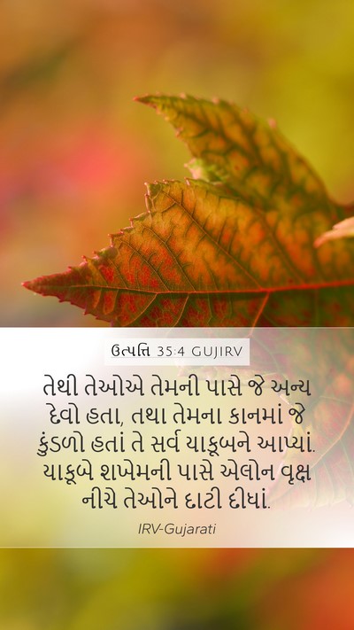 ઉત્પત્તિ 35:4 GUJIRV Bible Verse Image