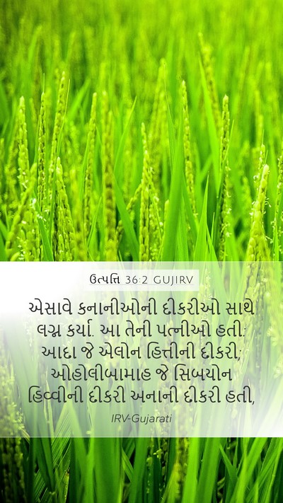 ઉત્પત્તિ 36:2 GUJIRV Bible Verse Image