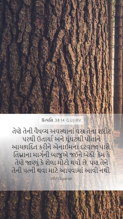 ઉત્પત્તિ 38:14 GUJIRV Bible Verse Image