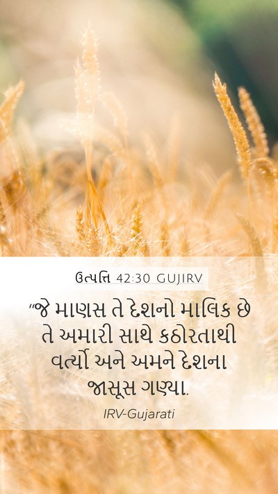 ઉત્પત્તિ 42:30 GUJIRV Bible Verse Image