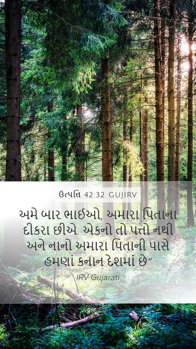 ઉત્પત્તિ 42:32 GUJIRV Bible Verse Image