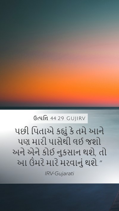 ઉત્પત્તિ 44:29 GUJIRV Bible Verse Image