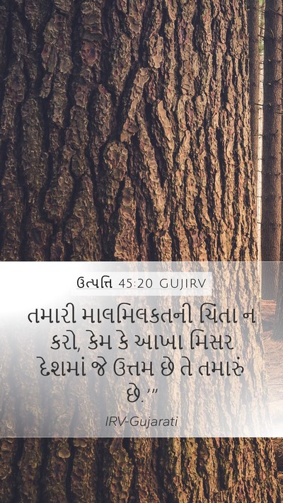 ઉત્પત્તિ 45:20 GUJIRV Mobile Phone Wallpaper - તમારી માલમિલકતની - Mobile Bible Verse Wallpaper