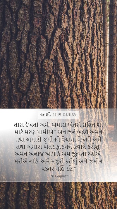 ઉત્પત્તિ 47:19 GUJIRV Mobile Phone Wallpaper - તારા દેખતાં અમે, - Mobile Bible Verse Wallpaper