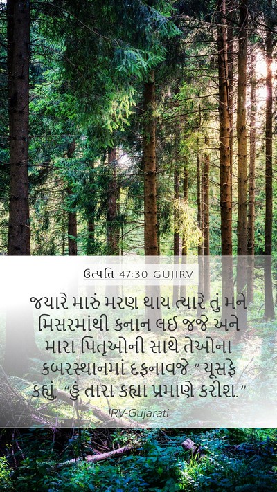 ઉત્પત્તિ 47:30 GUJIRV Bible Verse Image