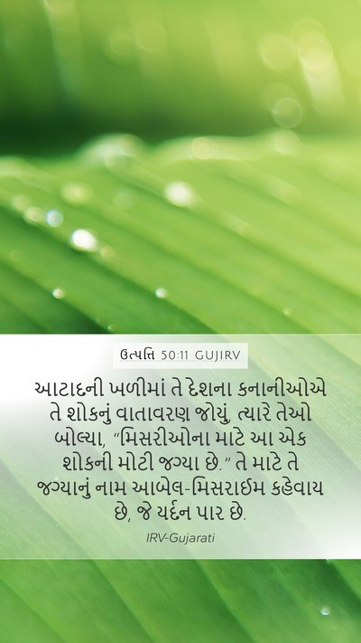 ઉત્પત્તિ 50:11 GUJIRV Bible Verse Image