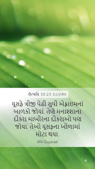ઉત્પત્તિ 50:23 GUJIRV Bible Verse Image