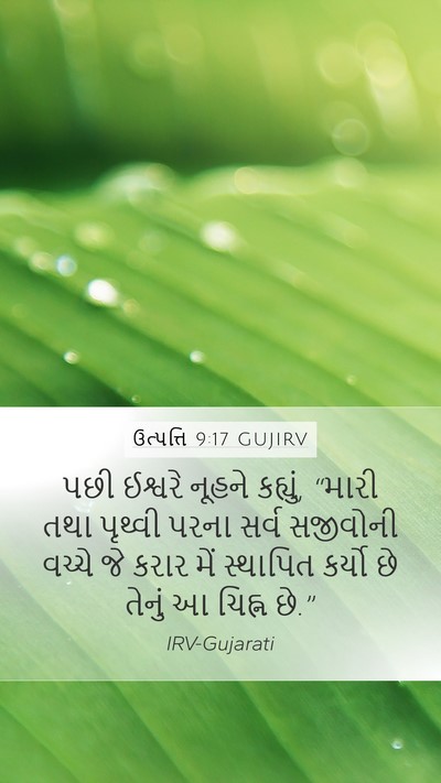 ઉત્પત્તિ 9:17 GUJIRV Mobile Phone Wallpaper - પછી ઈશ્વરે નૂહને - Mobile Bible Verse Wallpaper