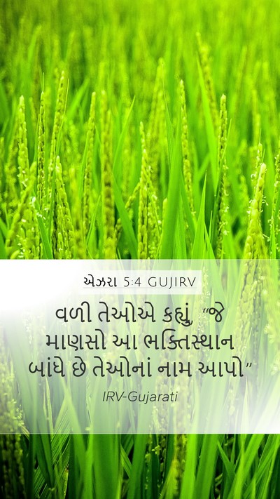 એઝરા 5:4 GUJIRV Mobile Phone Wallpaper - વળી તેઓએ કહ્યું, - Mobile Bible Verse Wallpaper