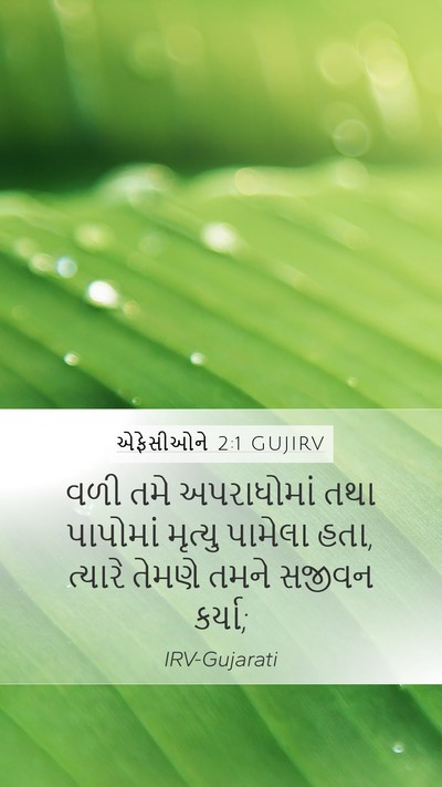 એફેસીઓને 2:1 GUJIRV Bible Verse Image