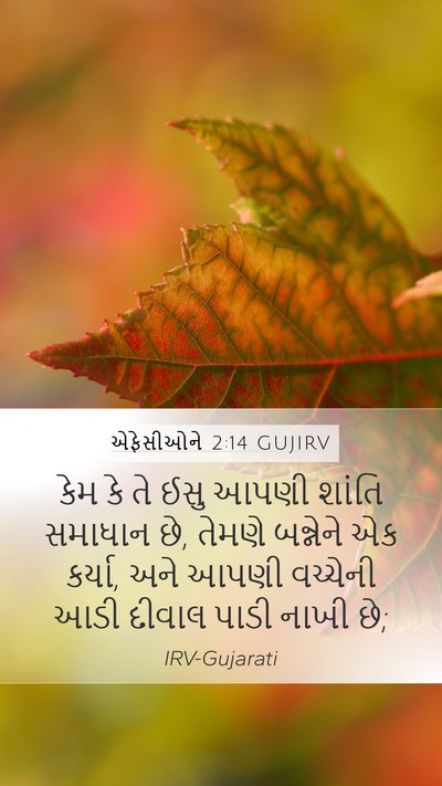 એફેસીઓને 2:14 GUJIRV Bible Verse Image