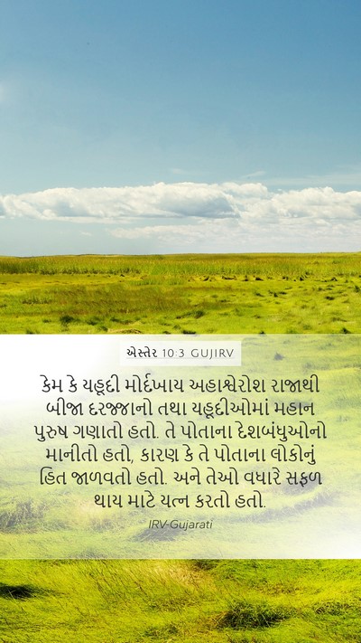 એસ્તેર 10:3 GUJIRV Bible Verse Image