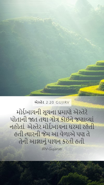 એસ્તેર 2:20 GUJIRV Mobile Phone Wallpaper - મોર્દખાયની સૂચના - Mobile Bible Verse Wallpaper
