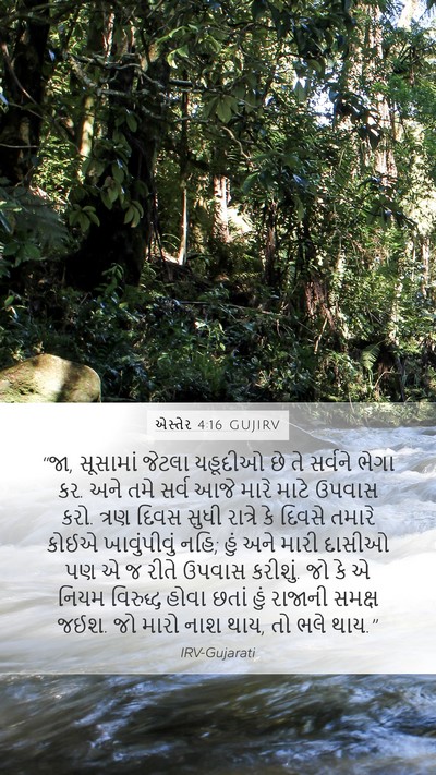 એસ્તેર 4:16 GUJIRV Bible Verse Image