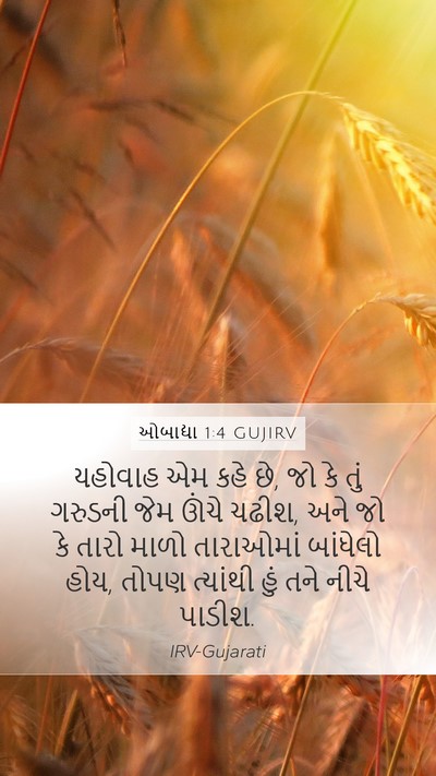 ઓબાદ્યા 1:4 GUJIRV Bible Verse Image