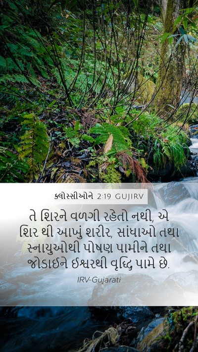 ક્લોસ્સીઓને 2:19 GUJIRV Bible Verse Image