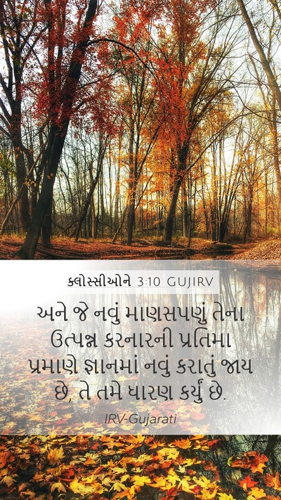 ક્લોસ્સીઓને 3:10 GUJIRV Bible Verse Image