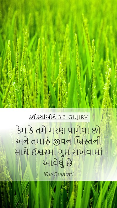 ક્લોસ્સીઓને 3:3 GUJIRV Bible Verse Image