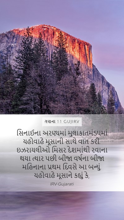 ગણના 1:1 GUJIRV Bible Verse Image