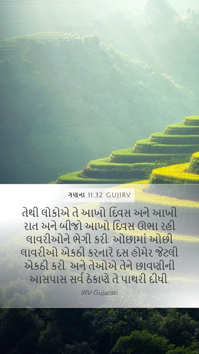 ગણના 11:32 GUJIRV Bible Verse Image
