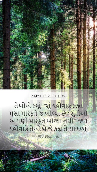 ગણના 12:2 GUJIRV Bible Verse Image