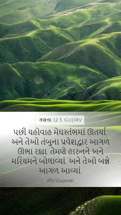 ગણના 12:5 GUJIRV Bible Verse Image