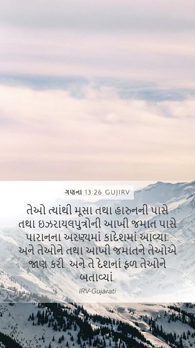 ગણના 13:26 GUJIRV Bible Verse Image