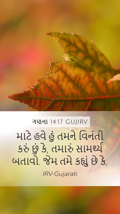 ગણના 14:17 GUJIRV Bible Verse Image