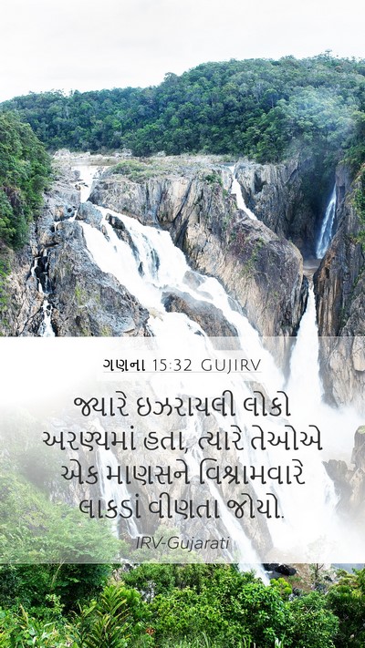 ગણના 15:32 GUJIRV Bible Verse Image