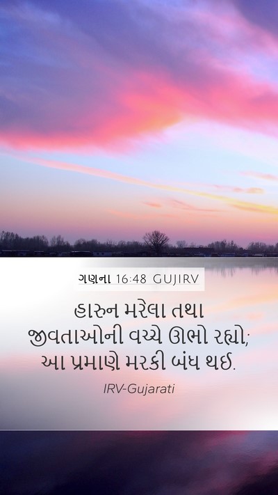 ગણના 16:48 GUJIRV Bible Verse Image