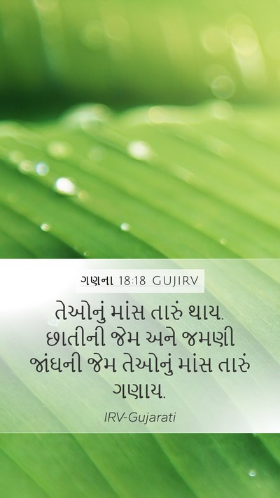 ગણના 18:18 GUJIRV Bible Verse Image