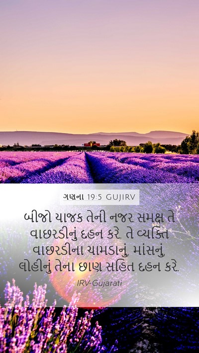 ગણના 19:5 GUJIRV Mobile Phone Wallpaper - બીજો યાજક તેની નજર - Mobile Bible Verse Wallpaper