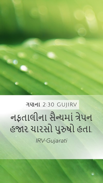 ગણના 2:30 GUJIRV Mobile Phone Wallpaper - નફતાલીના સૈન્યમાં - Mobile Bible Verse Wallpaper