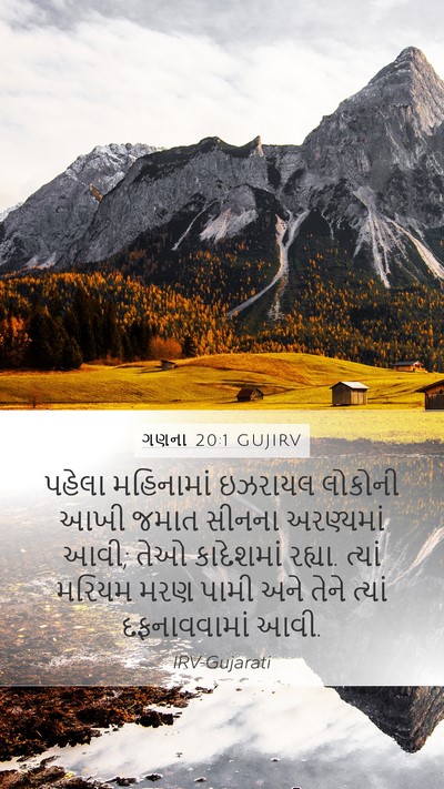 ગણના 20:1 GUJIRV Bible Verse Image