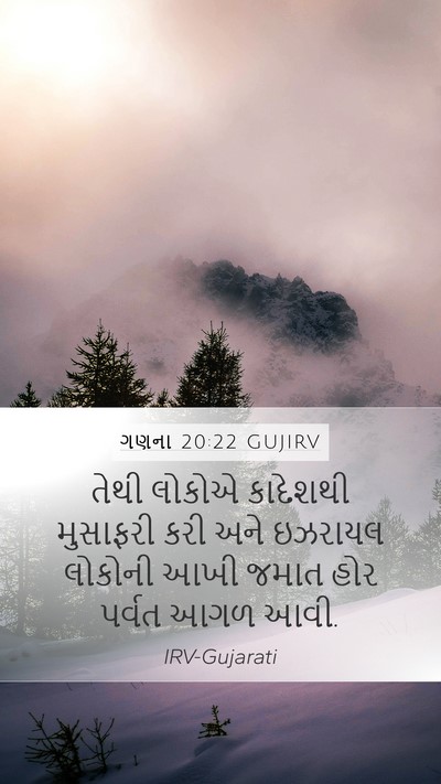 ગણના 20:22 GUJIRV Bible Verse Image