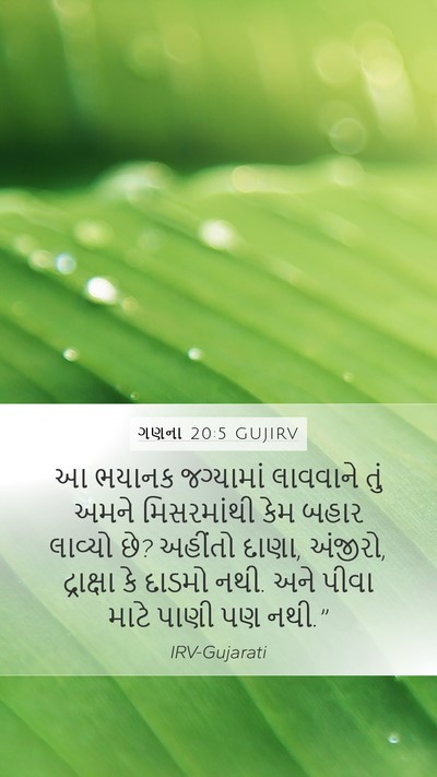 ગણના 20:5 GUJIRV Mobile Phone Wallpaper - આ ભયાનક જગ્યામાં - Mobile Bible Verse Wallpaper