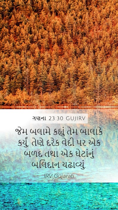 ગણના 23:30 GUJIRV Bible Verse Image