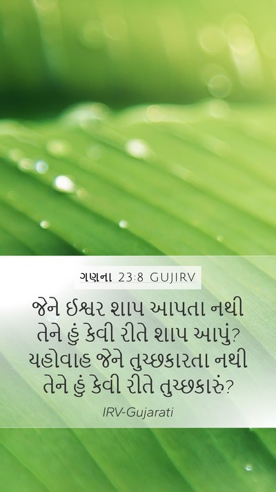 ગણના 23:8 GUJIRV Mobile Phone Wallpaper - જેને ઈશ્વર શાપ - Mobile Bible Verse Wallpaper