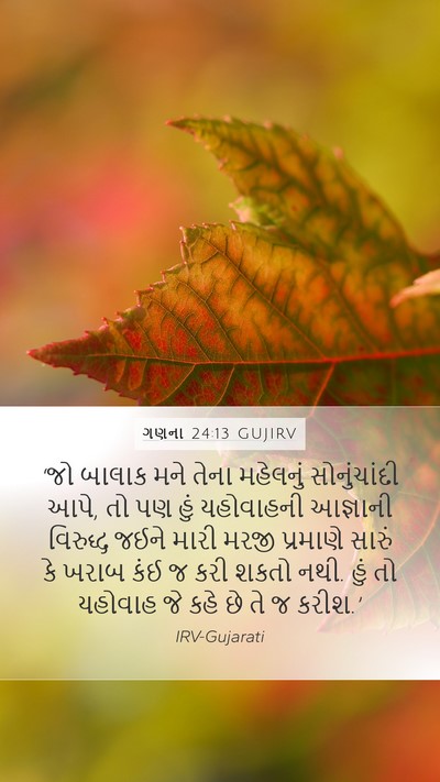 ગણના 24:13 GUJIRV Bible Verse Image
