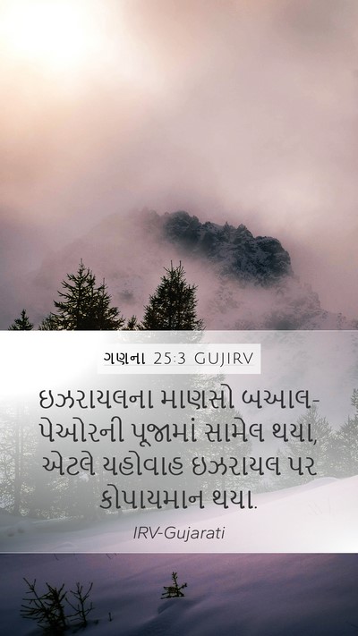 ગણના 25:3 GUJIRV Bible Verse Image