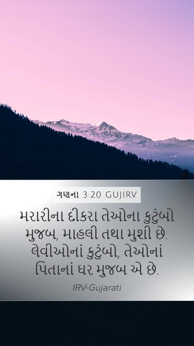ગણના 3:20 GUJIRV Bible Verse Image