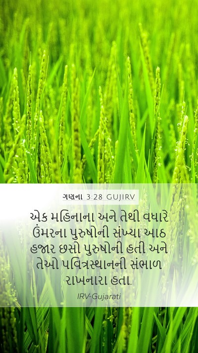 ગણના 3:28 GUJIRV Bible Verse Image