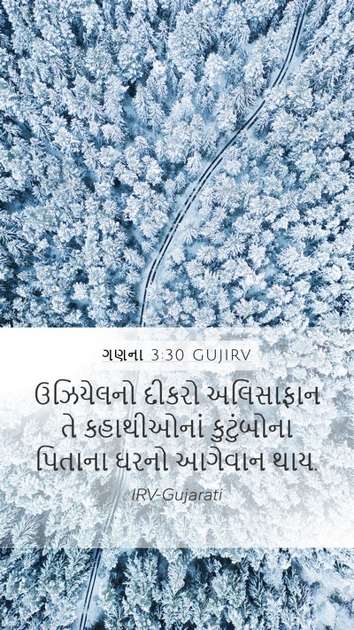 ગણના 3:30 GUJIRV Bible Verse Image