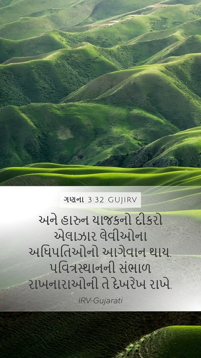 ગણના 3:32 GUJIRV Bible Verse Image
