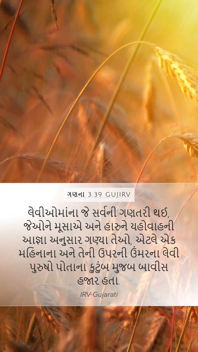 ગણના 3:39 GUJIRV Bible Verse Image