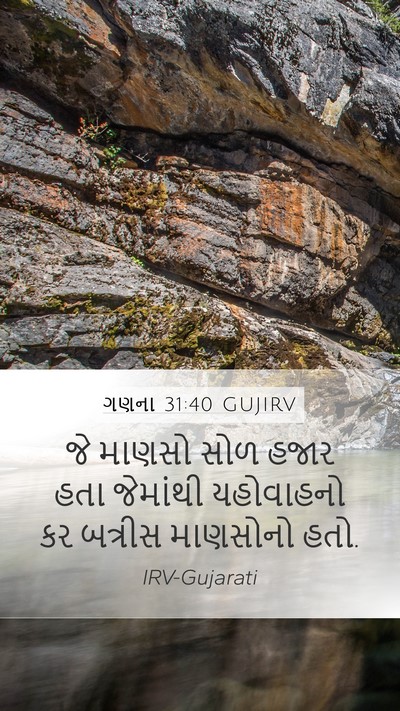 ગણના 31:40 GUJIRV Mobile Phone Wallpaper - જે માણસો સોળ હજાર - Mobile Bible Verse Wallpaper